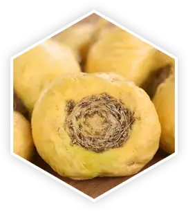 Maca Root in ProstaVive for reproductive health and energy